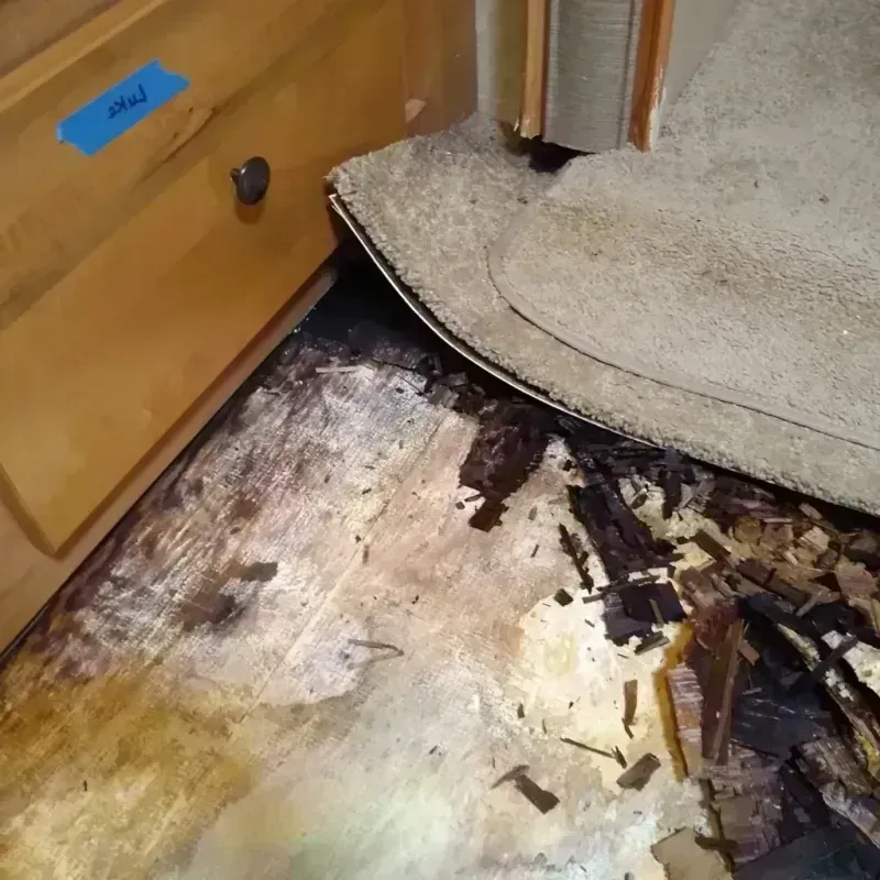 Wood Floor Water Damage in Manchester, NY